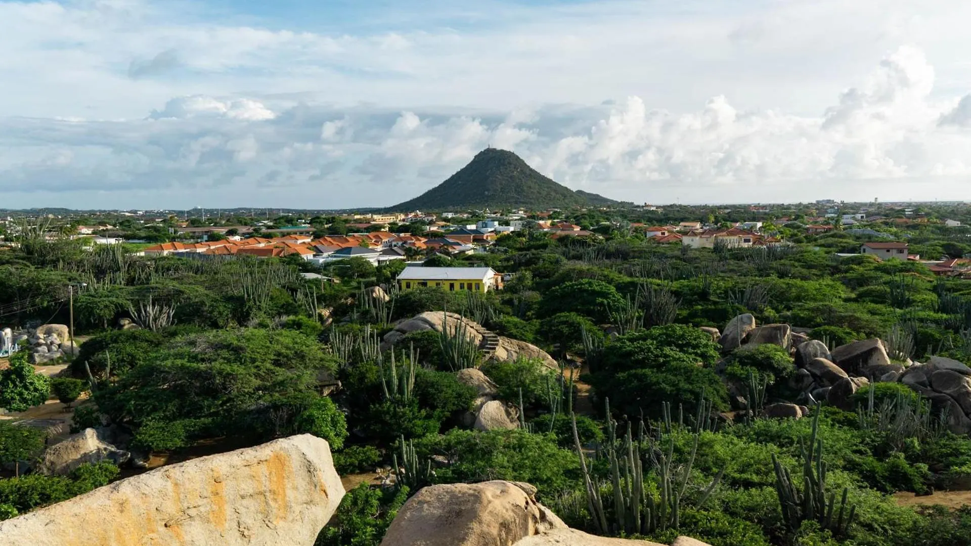 Aruba Islander Residence Com Oranjestad